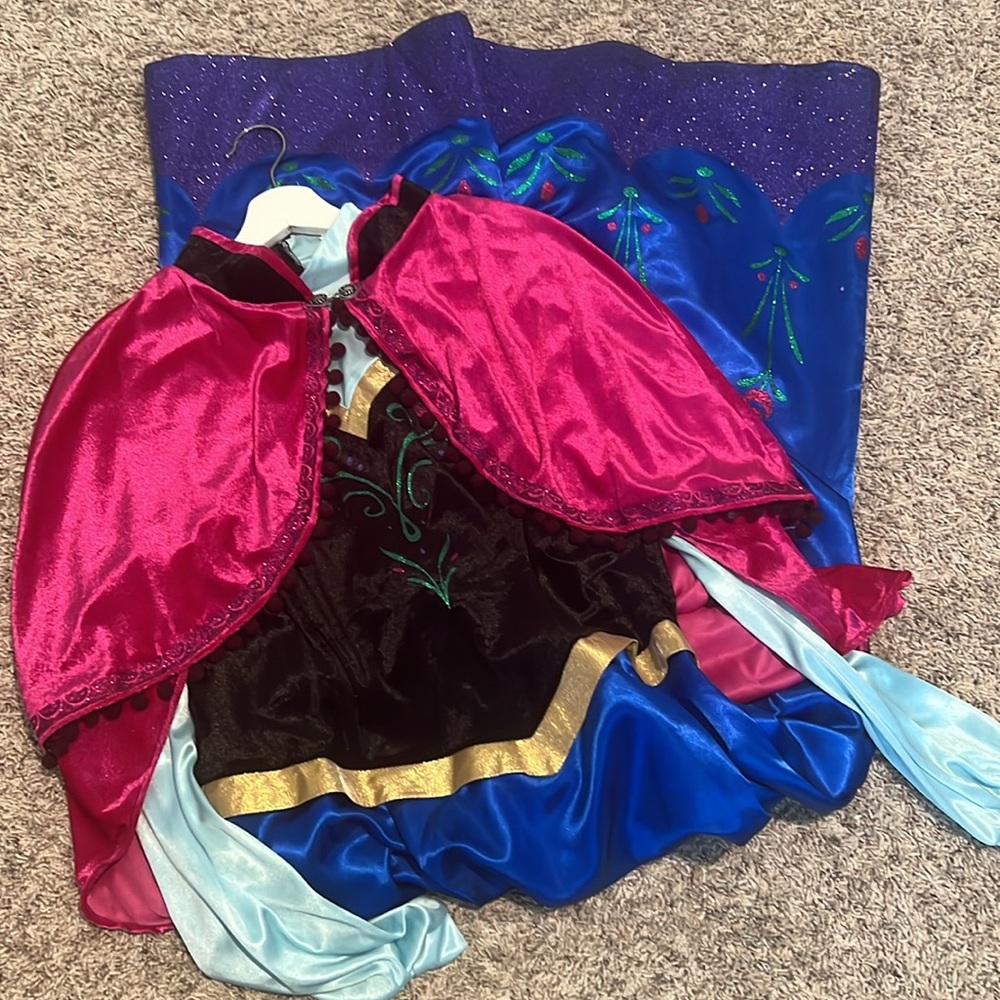Princess Anna adult costume